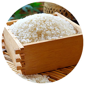 宗廣農園 白米コシヒカリ